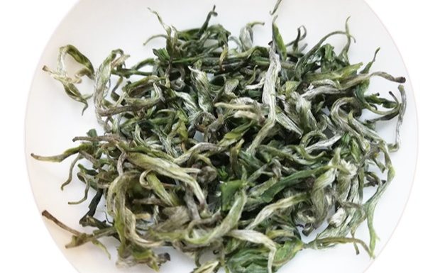 保靖黄金茶.jpg