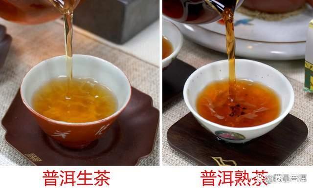 普洱生茶和熟茶的本质区别,老生茶与熟茶如何区分 普洱生茶和熟茶的本质区别,老生茶与熟茶如何区分