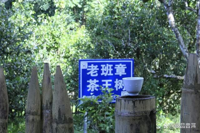老班章普洱茶发展历程与品质特点解析 老班章普洱茶发展历程与品质特点解析