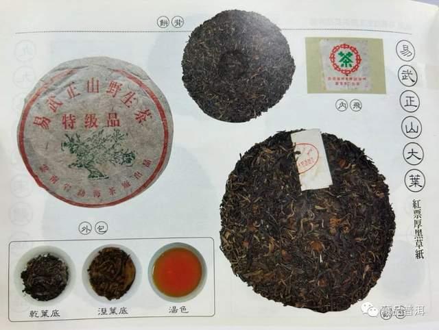 99绿大树三个版本区别详解,蓝黑票紫红票红票特征对比 99绿大树三个版本区别详解,蓝黑票紫红票红票特征对比