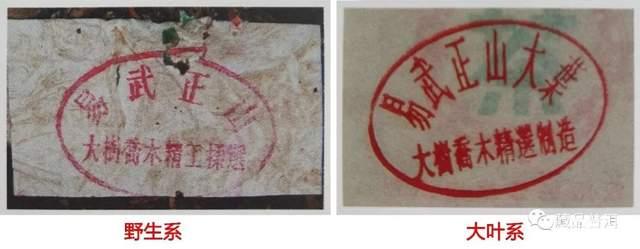 99绿大树三个版本区别详解,蓝黑票紫红票红票特征对比 99绿大树三个版本区别详解,蓝黑票紫红票红票特征对比