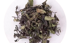 松溪小白茶.png