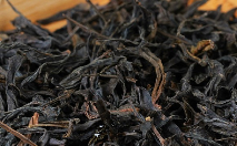 岭头单丛茶.png 岭头单丛茶.png