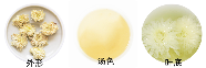 贡菊品质特征.png 贡菊品质特征.png