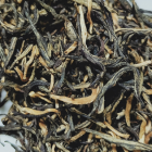 信阳红茶