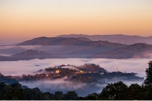勐海云海奇境:南糯山茶田上的诗意美景 勐海云海奇境:南糯山茶田上的诗意美景