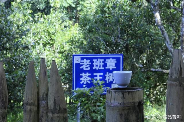 老班章茶为何价值飙升50倍?稀缺性与流通性驱动 老班章茶为何价值飙升50倍?稀缺性与流通性驱动