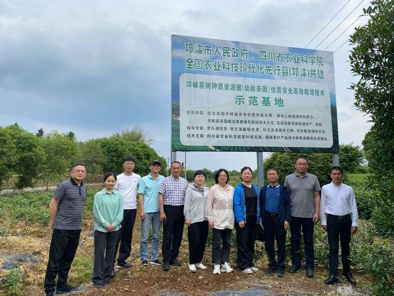 国家茶叶产业技术体系岗位专家一行莅临邛崃调研 国家茶叶产业技术体系岗位专家一行莅临邛崃调研