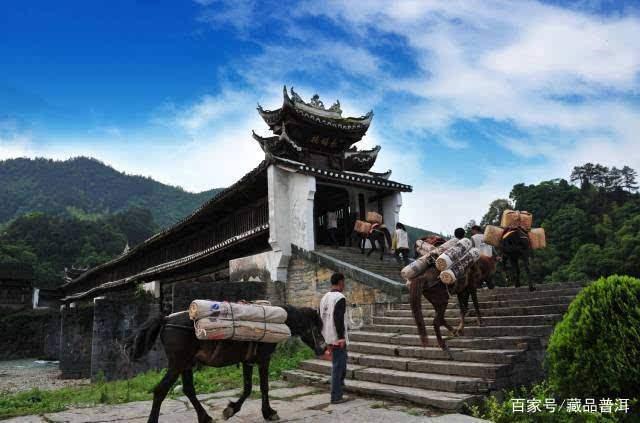普洱茶为什么要做成紧压茶？紧压茶和散茶孰优孰劣？纯干货