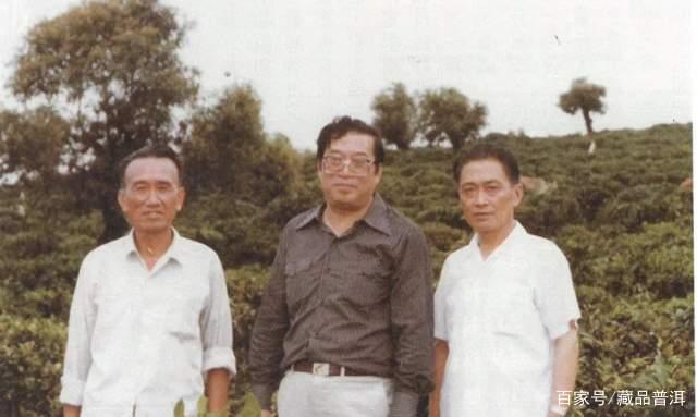 80年代紫天熟饼,勐海茶厂熟茶标杆之作,老茶市场上的佼佼者! 80年代紫天熟饼,勐海茶厂熟茶标杆之作,老茶市场上的佼佼者!