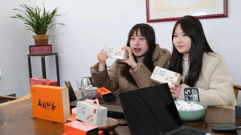互联网+丹桂+茶业 探索乡村振兴新赛道 互联网+丹桂+茶业 探索乡村振兴新赛道