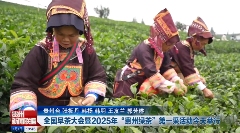 春茶生产关键期,掌握这些提质增产小妙招 春茶生产关键期,掌握这些提质增产小妙招