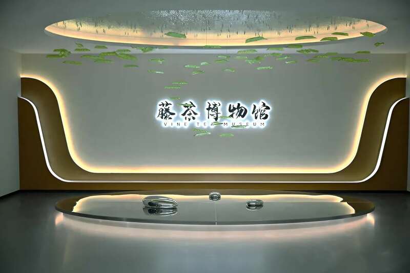 新华社发重磅长文:来凤藤茶如何花30年时间“出山”又出圈 新华社发重磅长文:来凤藤茶如何花30年时间“出山”又出圈