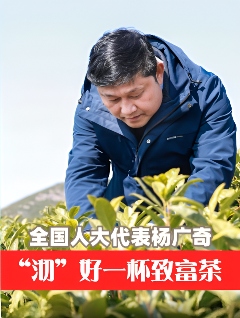 全国人大代表广德市新杭镇金鸡笼村党总支书记杨广奇:“沏”好一杯致富茶 全国人大代表广德市新杭镇金鸡笼村党总支书记杨广奇:“沏”好一杯致富茶