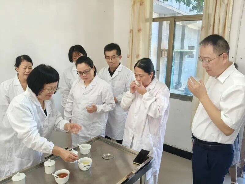 推动“三茶”统筹发展,衡阳市茶业将有大动作 推动“三茶”统筹发展,衡阳市茶业将有大动作