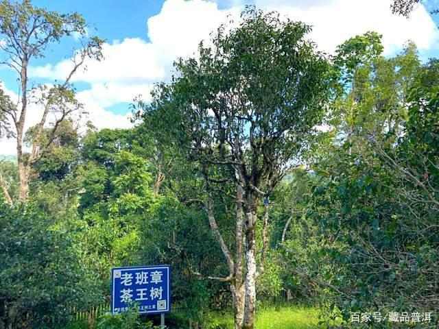 普洱茶二三线品牌有哪些老班章?盘点八角亭、兴海、陈升号班章茶 普洱茶二三线品牌有哪些老班章?盘点八角亭、兴海、陈升号班章茶