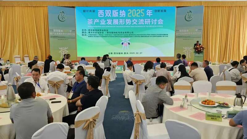 西双版纳2025年茶产业发展形势交流研讨会在景洪召开 西双版纳2025年茶产业发展形势交流研讨会在景洪召开