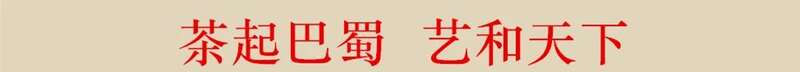 茶日+科技+遗产 连线世界 共绘发展新蓝图