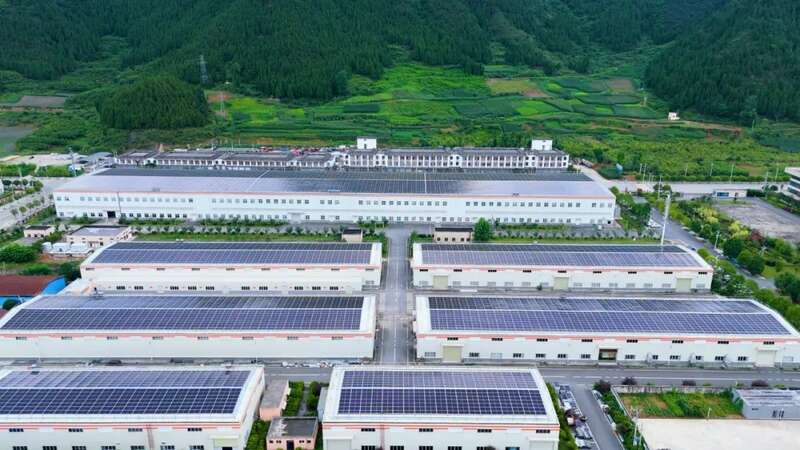 贵州抹茶出口日本实现历史性突破 2025出海续航!贵州抹茶再次大规模出口日本!