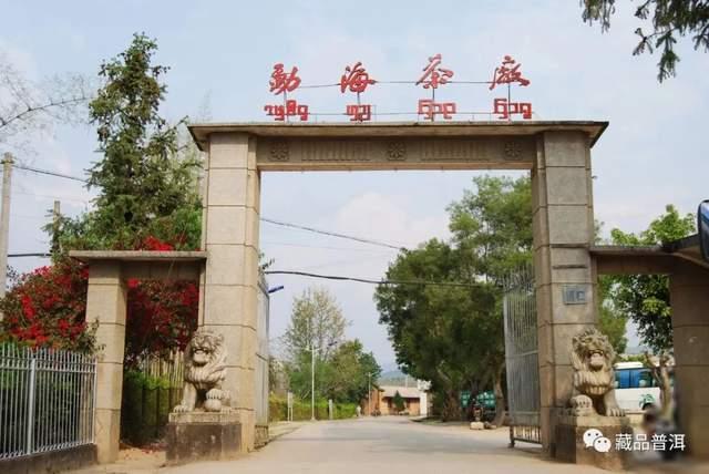 班章大白菜系列，为什么06年以后不再生产？详解601班章有机青饼