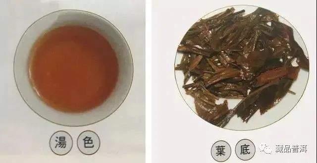 易武茶复兴先锋：96真淳雅号的重生之路