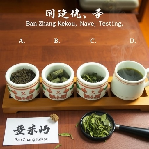班章熟茶品质标杆小B堆解析与孔雀系列辨别