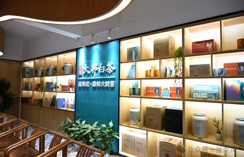 云南白茶研究院东莞藏茶研究中心 推动产业升级与区域合作 云南白茶研究院东莞藏茶研究中心揭牌 南涧开启跨区域合作新篇章
