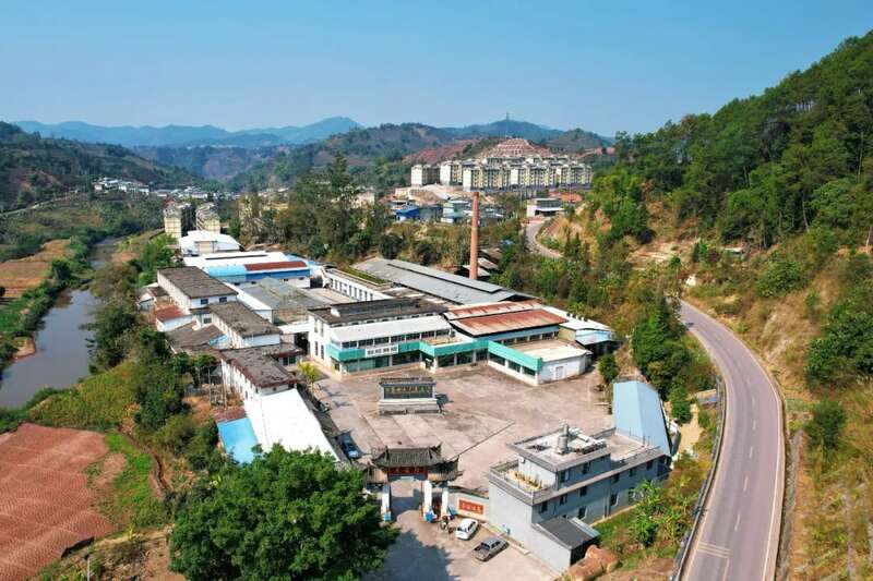 春茶采摘正当时,乡村振兴添活力 人勤春早 茶香四溢 江城县首批春茶抢“鲜”开采