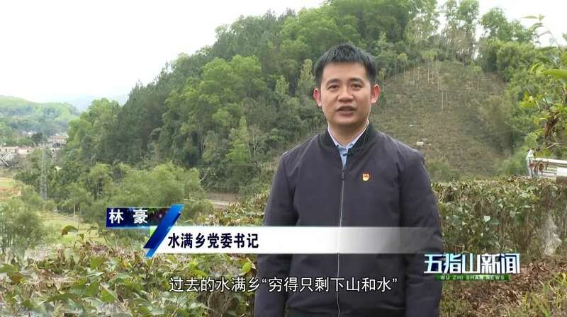 水满乡“茶+文旅”融合振兴 生态经济双促新模式 五指山水满乡:守护生态“国宝” ,走好“茶 + 文旅”发展新路径