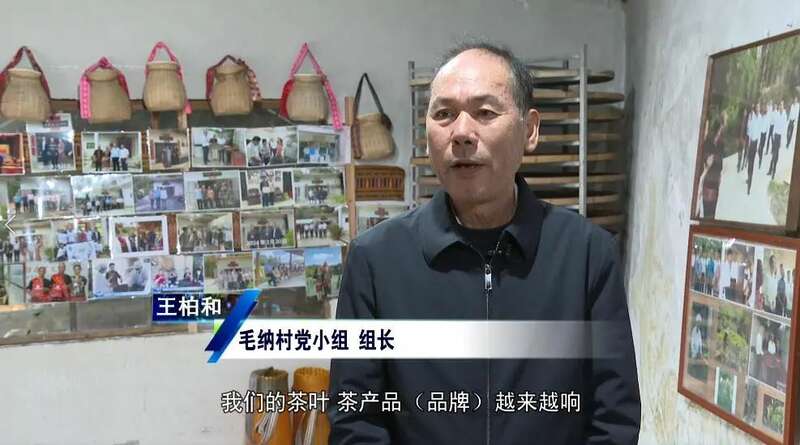水满乡“茶+文旅”融合振兴 生态经济双促新模式 五指山水满乡:守护生态“国宝” ,走好“茶 + 文旅”发展新路径