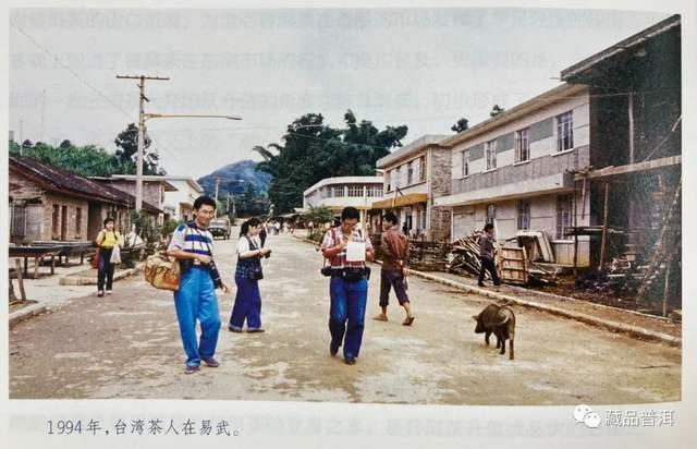 96真淳雅号:易武茶复兴里程碑 96真淳雅号:易武茶复兴里程碑