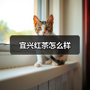 宜兴红茶怎么样（图2）