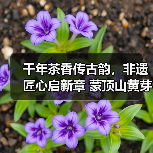 千年茶香传古韵,非遗匠心启新章 蒙顶山黄芽坊非遗黄芽品鉴会暨张强大师收徒仪式圆满举办(图1) 千年茶香传古韵,非遗匠心启新章 蒙顶山黄芽坊非遗黄芽品鉴会暨张强大师收徒仪式圆满举办(图1)
