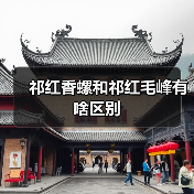 祁红香螺和祁红毛峰有啥区别（图2）