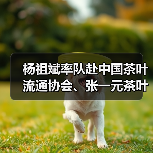 杨祖斌率队赴中国茶叶流通协会、张一元茶叶有限责任公司、小罐茶业有限公司开展招商考察(图4) 杨祖斌率队赴中国茶叶流通协会、张一元茶叶有限责任公司、小罐茶业有限公司开展招商考察(图4)