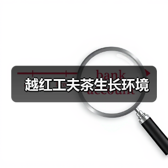 越红工夫茶生长环境(图4) 越红工夫茶生长环境(图4)