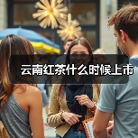 云南红茶什么时候上市 云南红茶什么时候上市